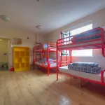 Hostel Snoozles Centre *