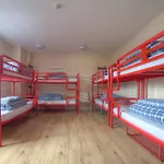 Hostel Snoozles Centre *