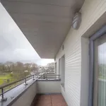 Hostel Snoozles Centre Galway